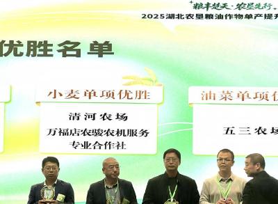 清河农场在湖北农垦单产提升路演中斩获小麦组优胜