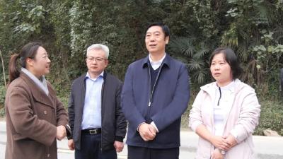 罗兴斌在李庙镇调研路域环境规划与整治提升工作时强调：推动环境产业民生深度融合，加快打造“生态旅游+乡村振兴”示范区 