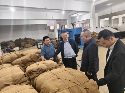 长坪镇：守好民生“钱袋子” 　护航产业“金叶子”