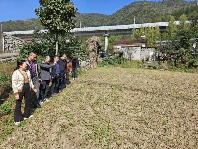 市调研组到我县指导秋收秋播工作