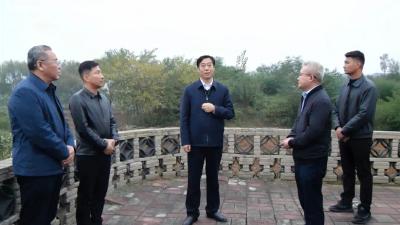 罗兴斌在305省道南漳段沿线调研时强调：项目化路径化精细化推进乡村振兴“四项行动”成势见效 