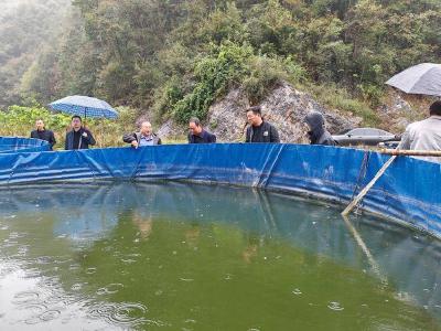 县水产技术服务中心开展渔业科学抗灾工作