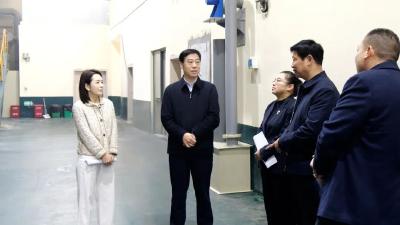 罗兴斌调研重点企业和项目时强调：以精准服务助企发展，以高效作风攻坚项目，全力冲刺四季度