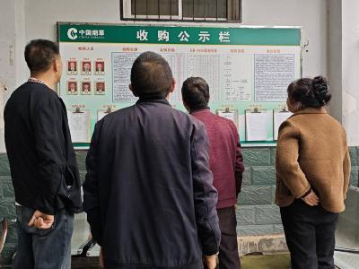 县烟草专卖局：“人防+技防”织密监督网 廉洁收购守护“金叶子”