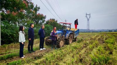 多措并举应对连阴雨天气　全力打好抗灾抢收抢播攻坚战  