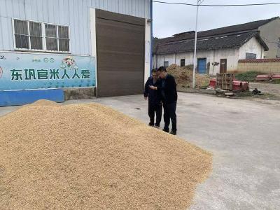 我县全面督导抗灾秋收秋播工作