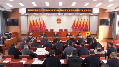 陈栋主持召开县政府党组中心组集中学习暨常务会议 研究部署统筹建立常态化防止返贫致贫机制促进乡村全面振兴等工作 