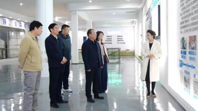 湖北日报传媒集团总经理罗丹青到南漳调研采访产业发展与项目建设