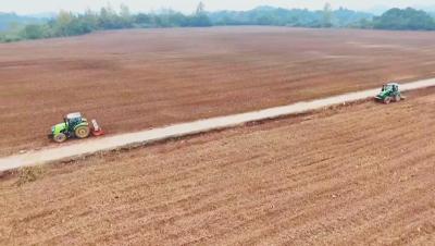 各类农机齐上阵 全力保障13万亩油菜秋播  