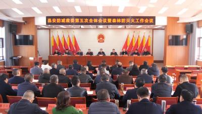 陈栋：全力抓好安全生产和森林防灭火工作，切实保障人民群众生命财产安全和社会大局稳定 