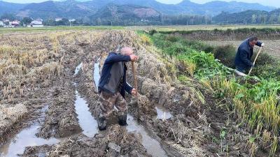 巡检镇：战灾情抢农时　扎实推进秋播