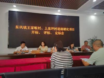 ​东巩镇：人大代表助力打通村民出行“最后一公里”