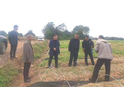 ​武安镇人大招商专班到咸安区开展招商活动