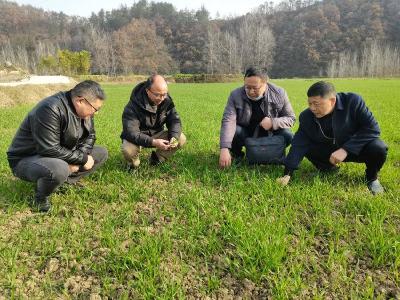 县农技中心深入联系帮扶村开展巩固拓展脱贫攻坚成果后评估工作