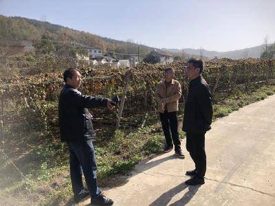 ​东巩镇财政所：财政奖补精准发力　惠民实事落地生根