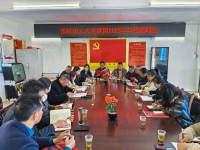 ​东巩镇人大主席团向选民代表述职