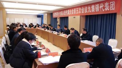 李恒列席人大代表分团审议 