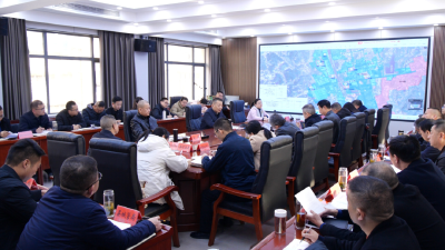 陈栋在招商引资项目评审会上强调：聚焦重点强化统筹，全力推动招商引资工作提质增效
