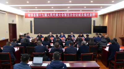 李恒列席人大代表分团审议和政协委员分组讨论 
