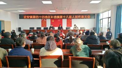 ​武安镇完成第十八届人大代表补选工作