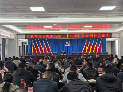 肖堰镇举办学习贯彻党的二十届四中全会精神宣讲会