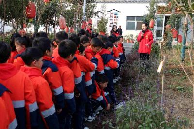 县实验小学：劳动励心志　实践育新人
