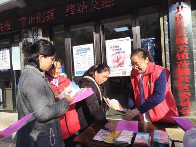 县计生协会开展“世界艾滋病日”主题宣传服务活动