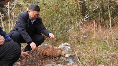毁猎具放生灵　警民携手护生态  