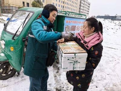 风雪中的 “绿色温暖”