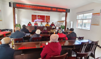 ​李庙镇社区社会组织联合会成立