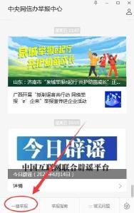 2025年12月湖北省网络举报受理情况 