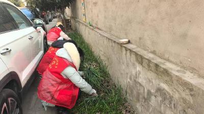 ​玉印社区开展人居环境集中整治提升行动