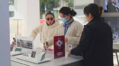 国补申报启动　消费提前升温  