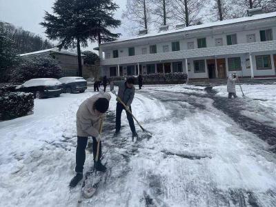 ​板桥镇青年志愿者风雪无阻护民生