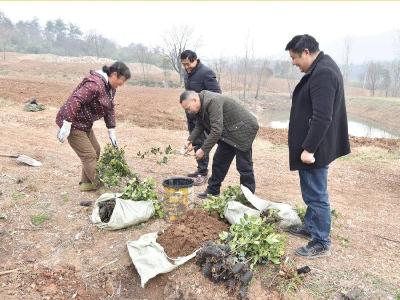 ​服务油茶上门“把脉”　护航发展山头“开方”