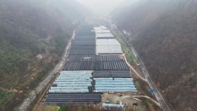 走基层　看南漳｜20多名农技专家下沉　守护3500亩羊肚菌生产  