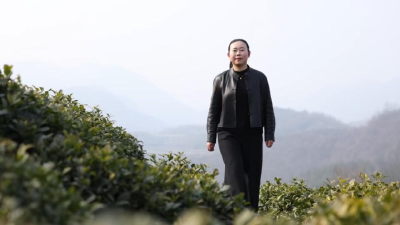 《时·干2026》·立春｜春山可望 蓄势新生——一个姑娘与一方茶山的故事