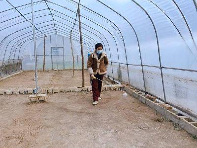 ​县烟草专卖局：大棚消毒“全覆盖”　筑牢育苗“健康盾”