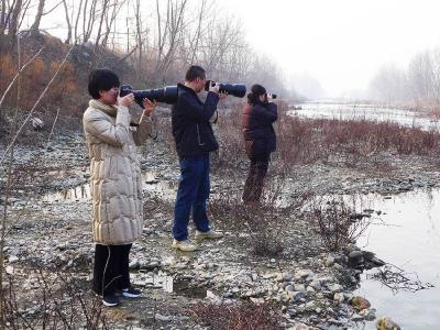 ​清凉河湿地公园：守护候鸟越冬乐园　维护迁飞栖息安全