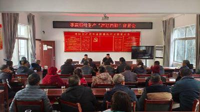 县烟草专卖局：聚焦“缩短两期”精准发力　助力烟叶生产提质增效