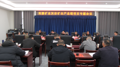 高鹏矿业灰岩矿全产业链项目专题会议召开  