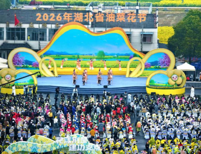 湖北油菜花节开幕 80万亩金色花海迎客来 