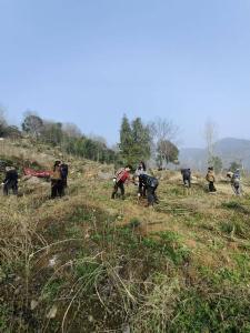 ​黄垭村开展义务植树活动