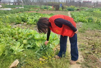 ​花石桥社区：亮剑禁种铲毒　守护辖区净土