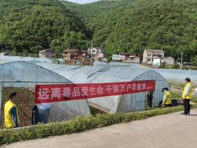 ​巡检镇开展禁种铲毒集中踏查行动