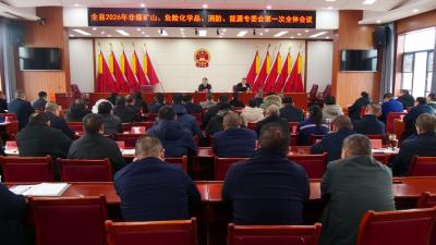 全县2026年非煤矿山、危险化学品、消防、能源专委会第一次全体会议召开  