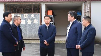 李恒在长坪镇调研时强调 压紧压实责任链条 以高水平生态保护支撑县域经济高质量发展 