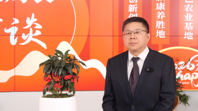 贯彻落实“新春第一会”精神　书记局长访谈｜县文化和旅游局：聚力争资冲在前　融合提质勇攻坚  