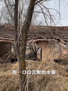 西海固-第五集