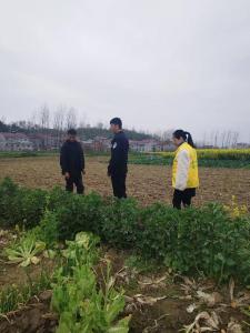 武安镇开展禁种铲毒专项行动
